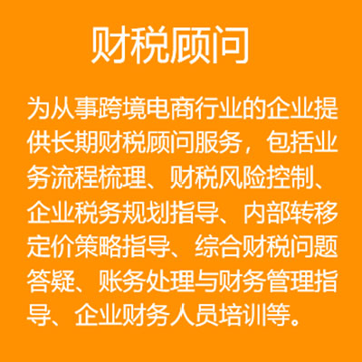 財(cái)稅顧問(wèn)服務(wù) 