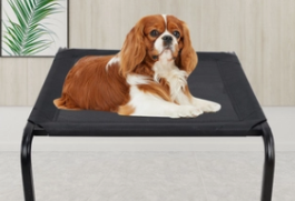 寵物鐵架床Iron frame bed for pets