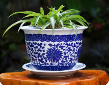 陶瓷花盆Ceramic flowerpot